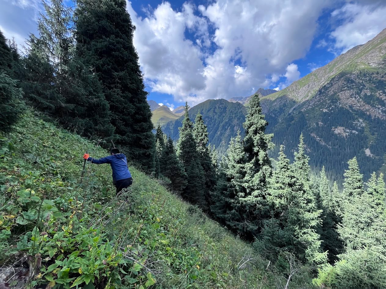Steep slope of 45 degrees on the route to the communications gateway. Five hundred metres of vertical became seven kilometres of climb with full kit.
