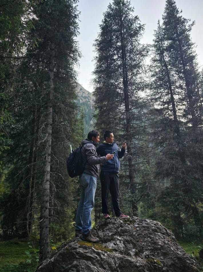 In search of connectivity